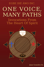 The book Cover One Path Many Voices